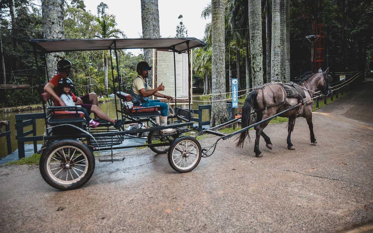 Hotel Fazenda Campo dos Sonhos Socorro (Sao Paulo) Exterior foto